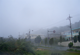 오키나와의 태풍