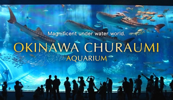 Okinawa Churaumi aquarium
