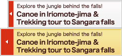 Canoe in Iriomote-jima & Trekking tour to Sangara falls