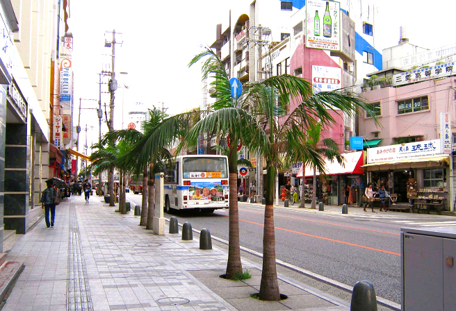 Tour Around Okinawa with the Yui Rail - Recommended Information Around Makishi Station