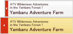 Yanbaru Adventure