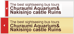 Churaumi Aquarium & Nakijinjo Castle Ruins