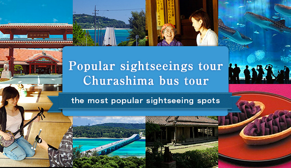 Popular sightseeings tour / Churashima bus tour